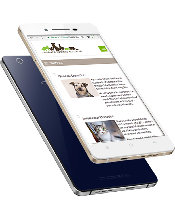 Fundraising Solutions for social good AKA raisin